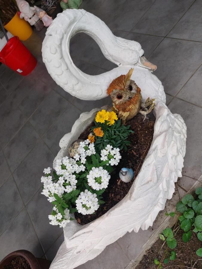 Queen House Apartman Zagreb